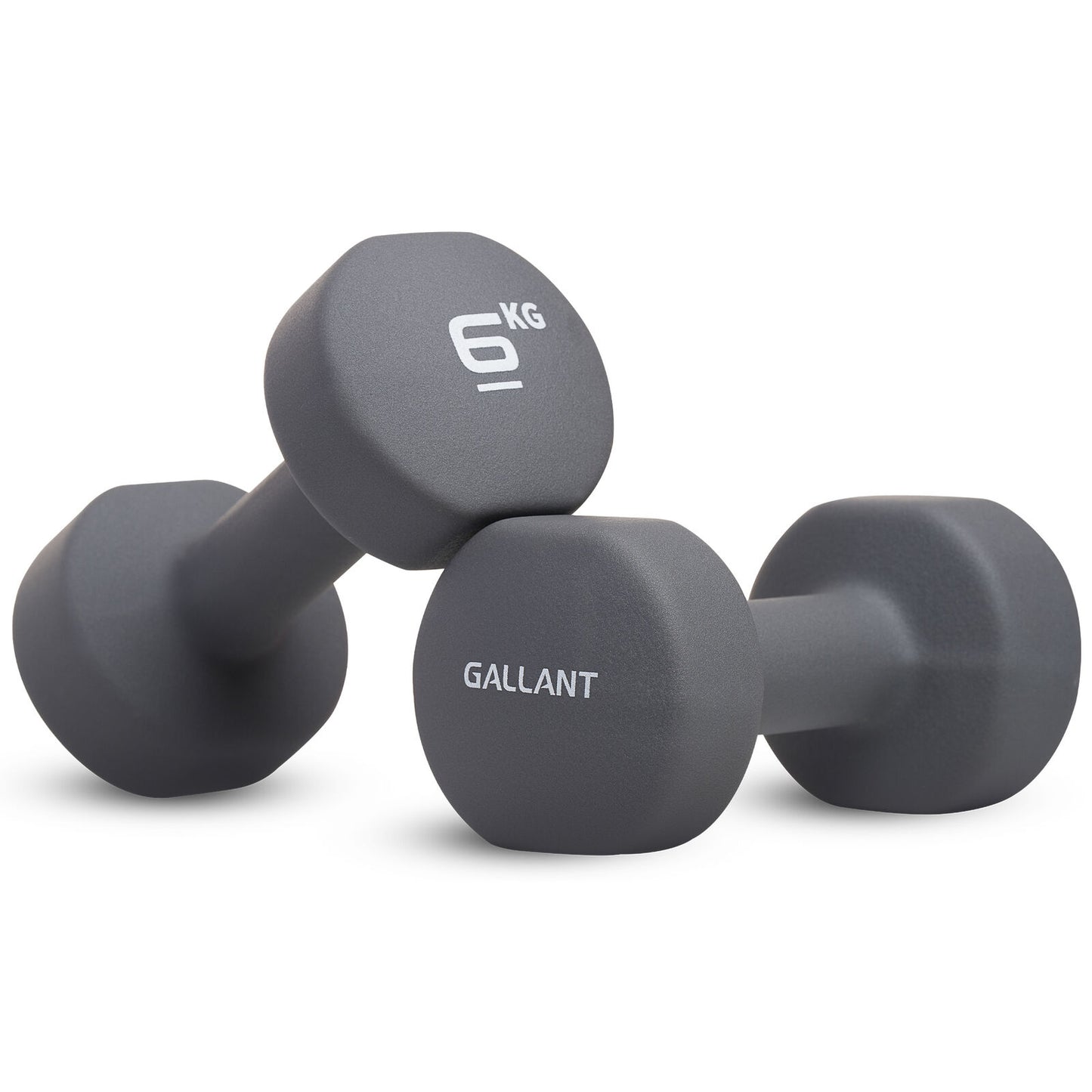 Neoprene Dumbbell Weight Set for Home Gym and Aerobic Fitness
