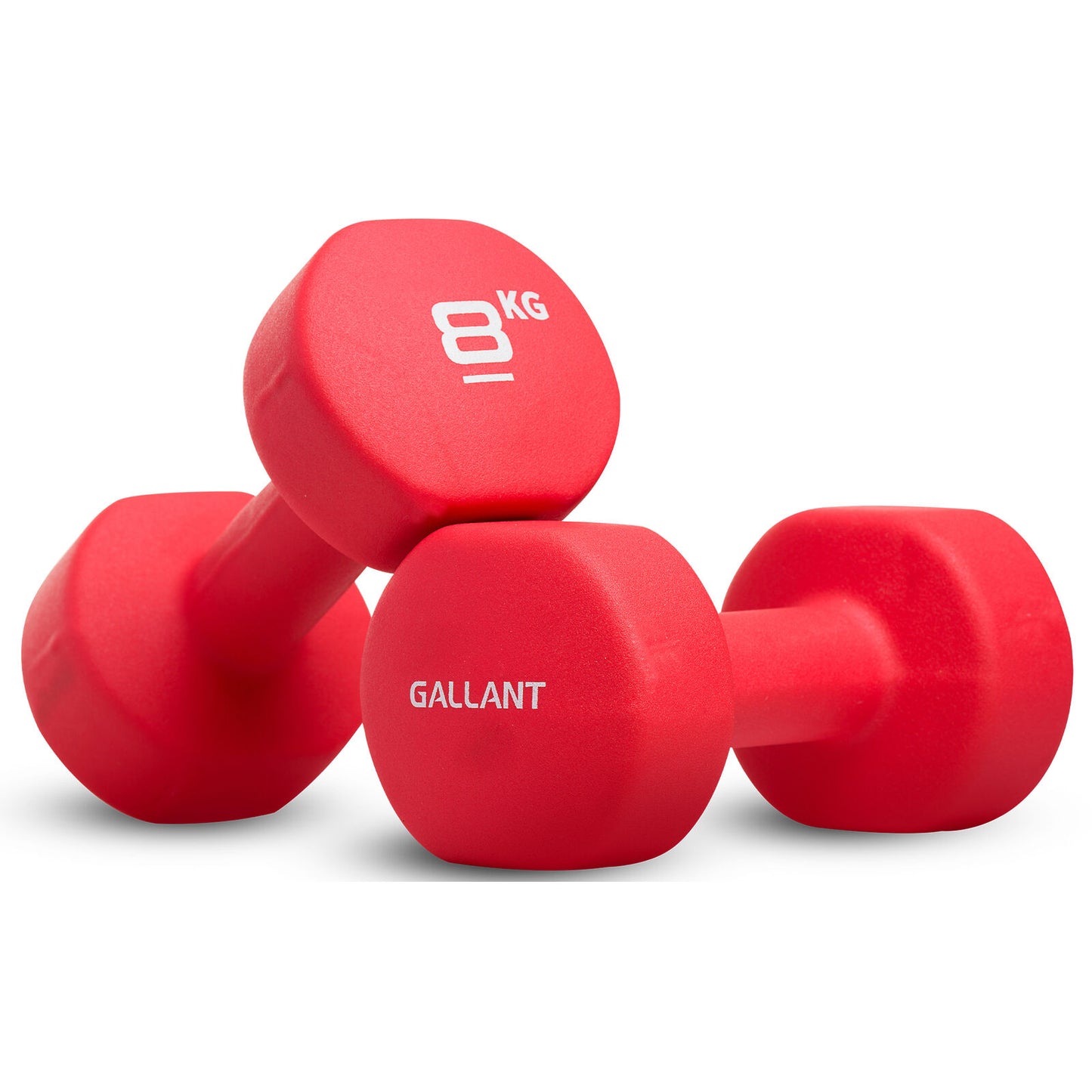 Neoprene Dumbbell Weight Set for Home Gym and Aerobic Fitness