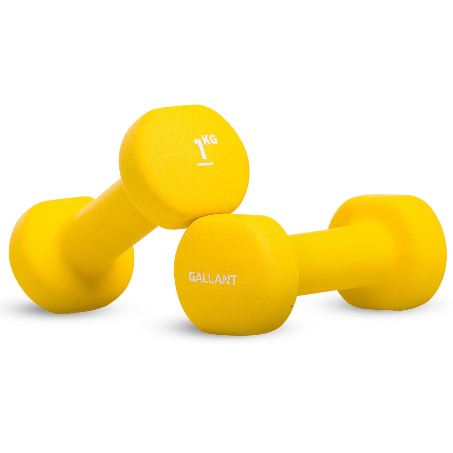 Neoprene Dumbbell Weight Set for Home Gym and Aerobic Fitness