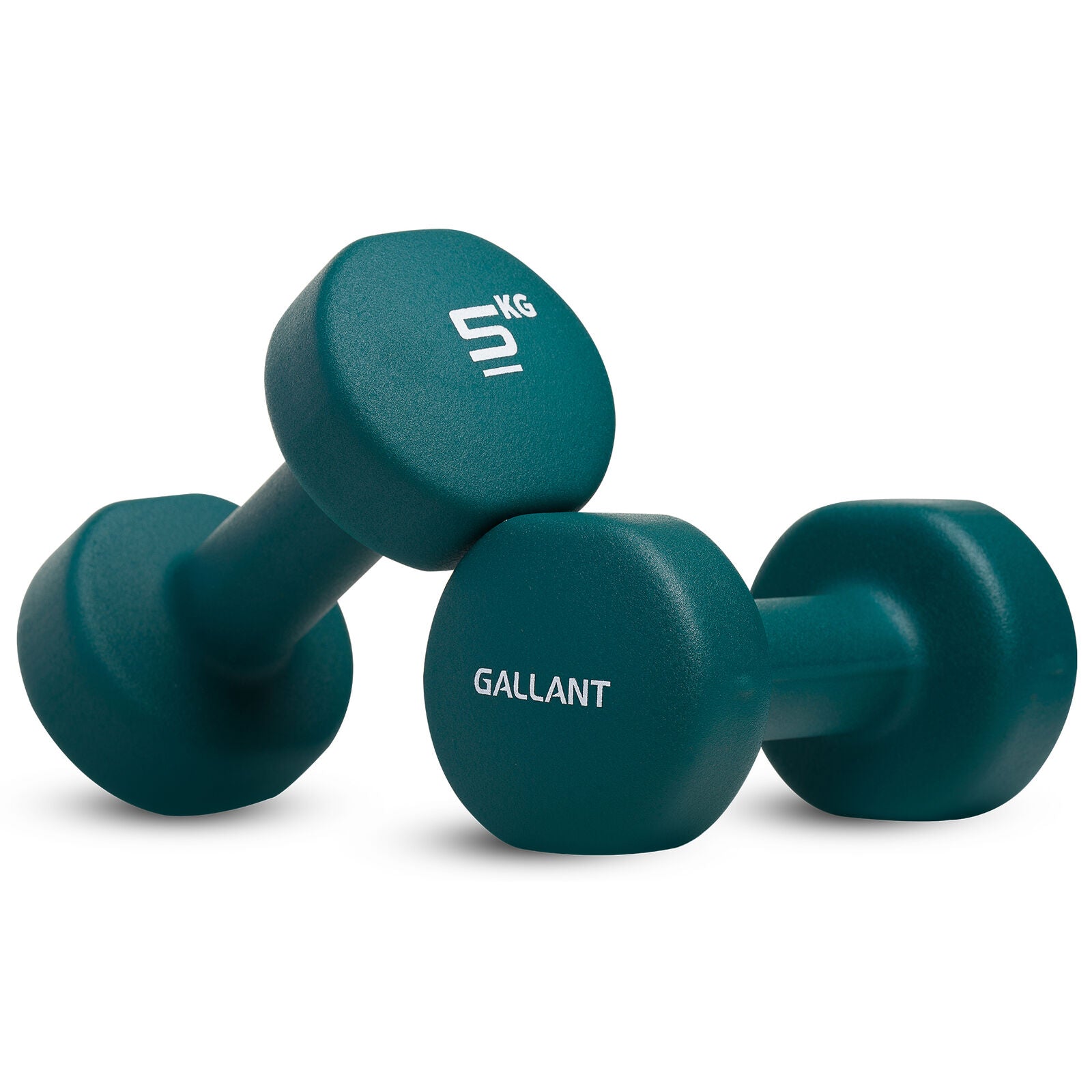 Neoprene Dumbbell Weight Set for Home Gym and Aerobic Fitness